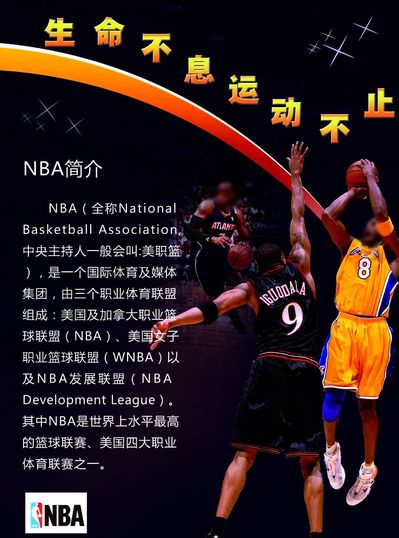 球员他